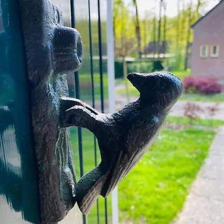 6pers Boshuis -hottub Jacuzzi- 'de Groene Specht' Holiday home Ewijk