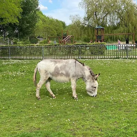 Сasa de vacaciones 6pers Boshuis -hottub Jacuzzi- 'de Groene Specht' *