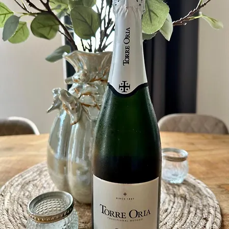 6pers Boshuis -hottub Jacuzzi- 'de Groene Specht'