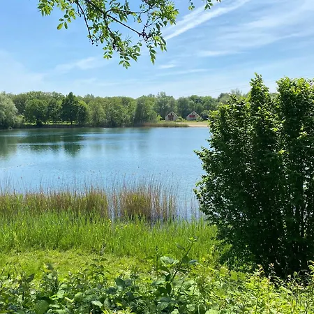 6pers Boshuis -hottub Jacuzzi- 'de Groene Specht' Сasa de vacaciones