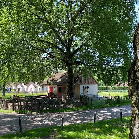 6pers Boshuis -hottub Jacuzzi- 'de Groene Specht' Ewijk