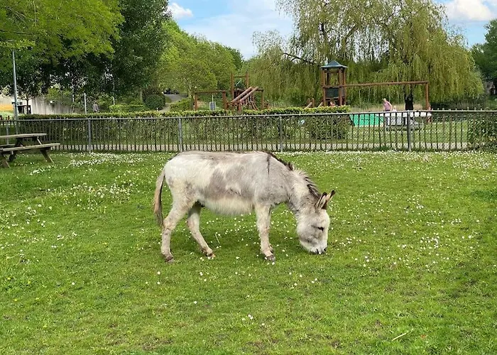 Dom wakacyjny 6pers Boshuis -hottub Jacuzzi- 'de Groene Specht' *