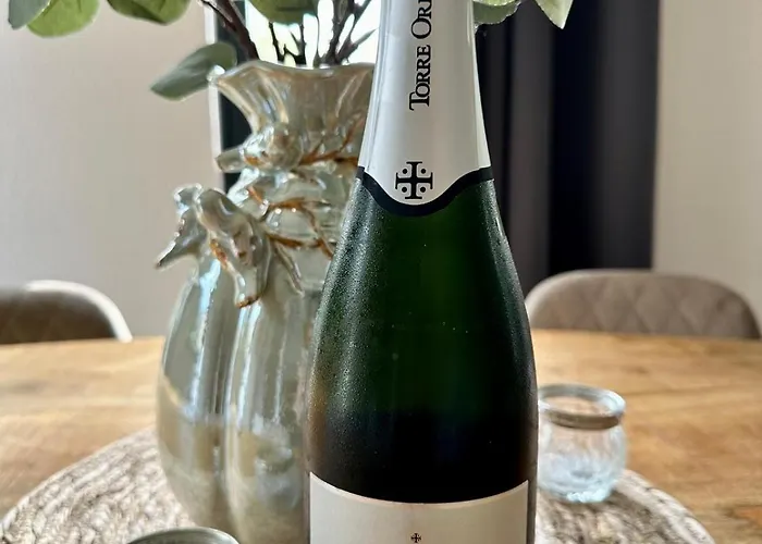 6pers Boshuis -hottub Jacuzzi- 'de Groene Specht'