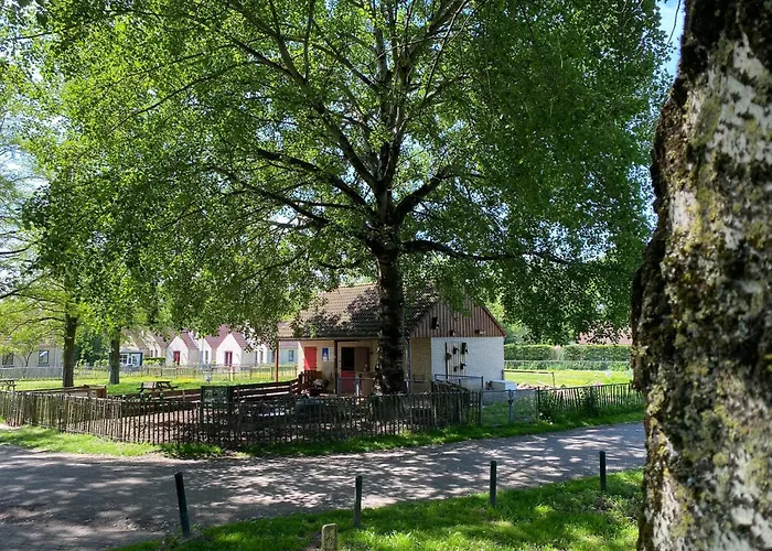 6pers Boshuis -hottub Jacuzzi- 'de Groene Specht' Ewijk